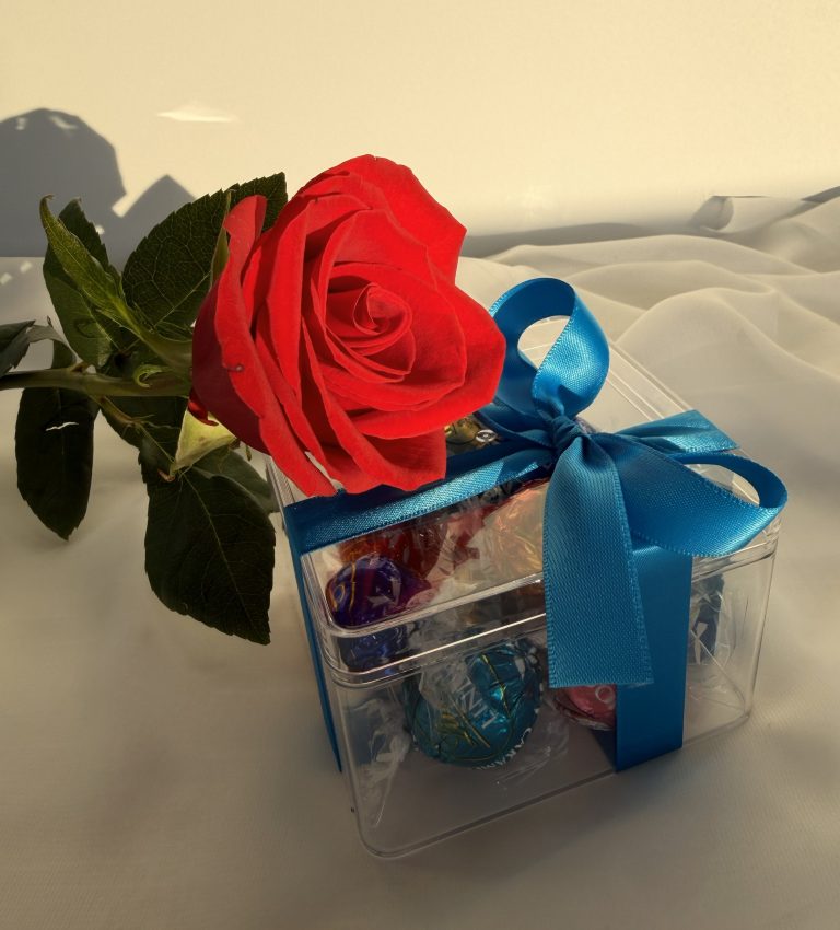 10 pcs blue ribbon, $17 gifts - chocolate