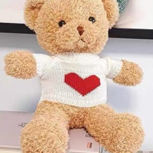 30 cm / 12” Teddy Bear (with I love you t-shirt)