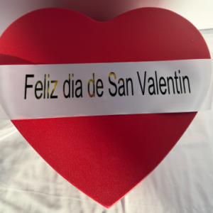 Heart-shaped PVC waterproof box 2-piece set