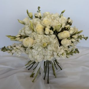 Rose # 18 – Snow Ballet