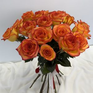 Rose # 25 – Orange Crush