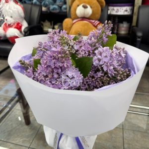Lilac
