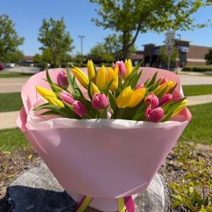 25 tulips